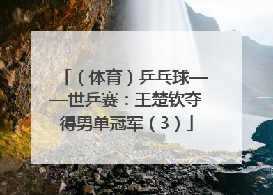 （体育）乒乓球——世乒赛：王楚钦夺得男单冠军（3）
